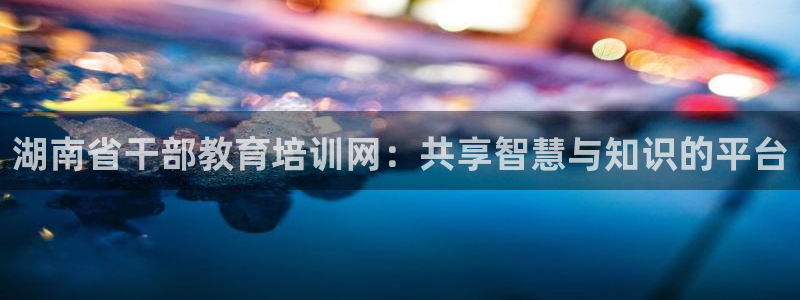 新宝5在哪里