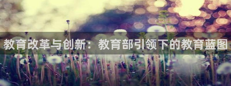 菲律宾新宝5老板