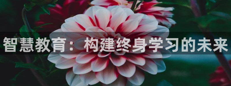 新宝5秒开
