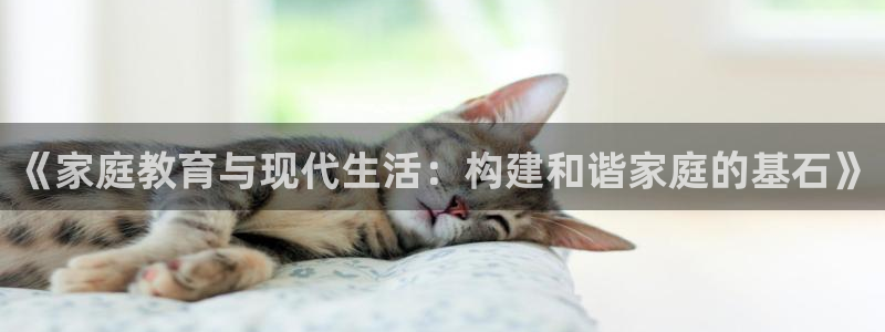 新宝5彩票是正规平台吗