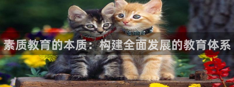 新宝5现在还能玩吗