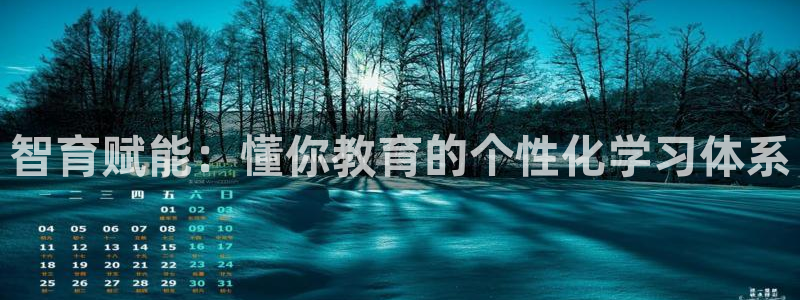 新宝5怎么下载到桌面