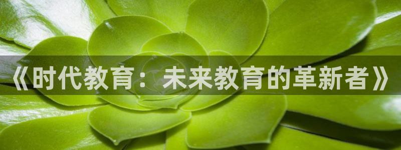 新宝5源码