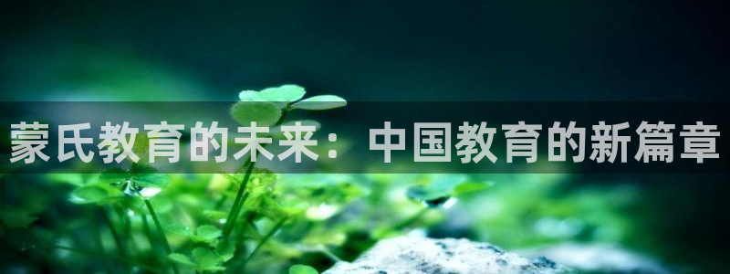新宝5系列