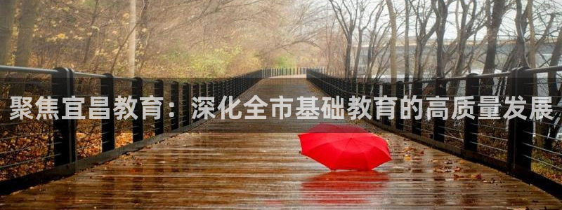 新宝5是什么