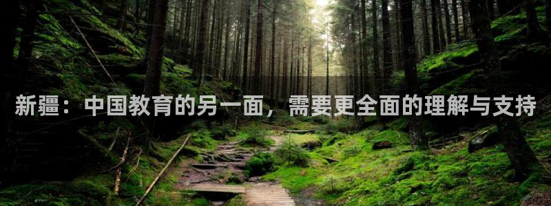 新宝5现在还能玩吗