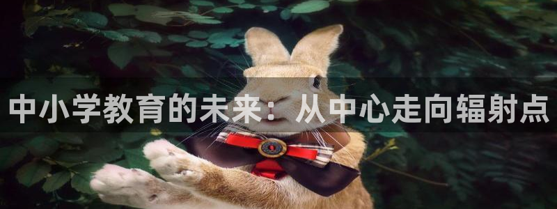新宝5平台咋样