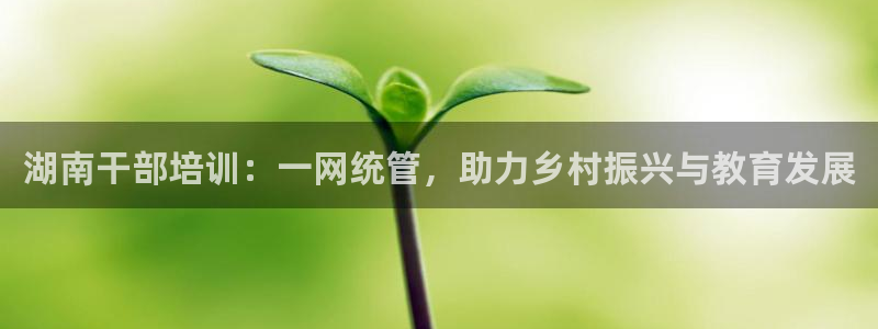 新宝5是什么样子的