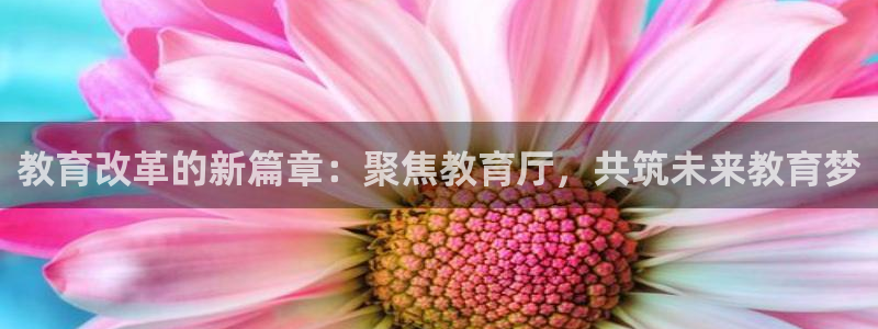 有人知道新宝5么