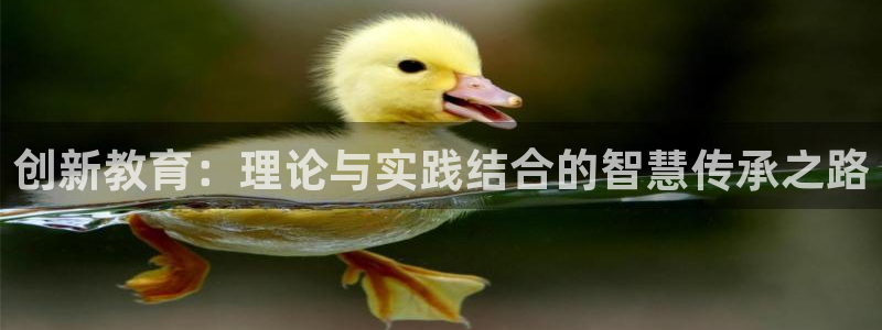 新宝5网址