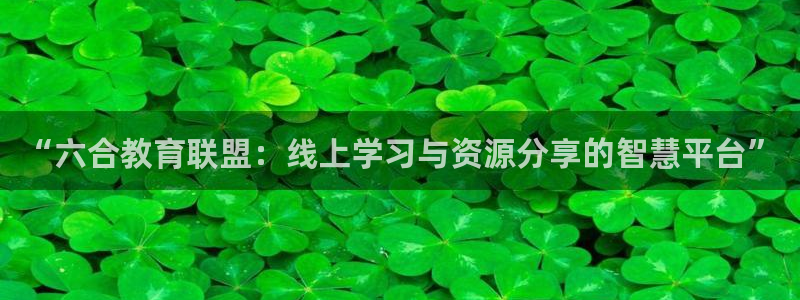 新5宝