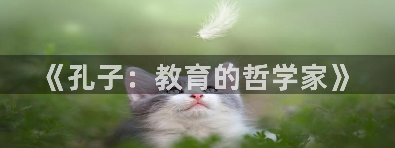 新宝5源码