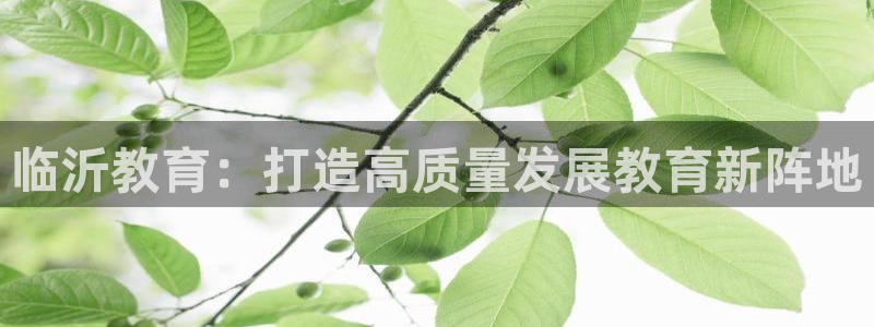 新宝5官网app