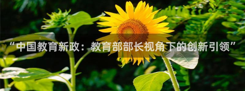 新宝5是谁的