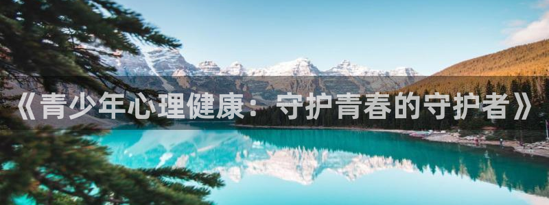 新宝5系列