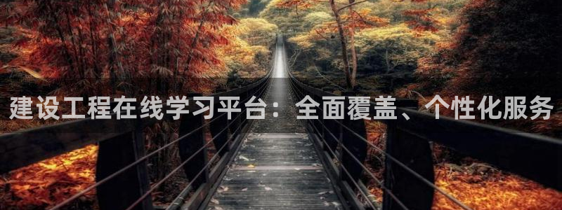 新宝5怎么代理