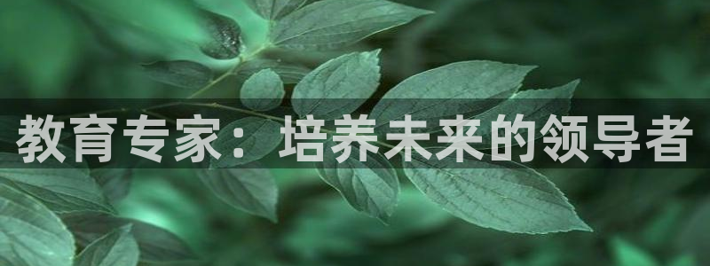 新宝5下载官方