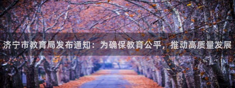 新宝5娱乐方