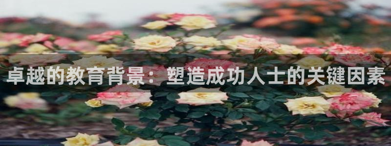 新宝5分彩