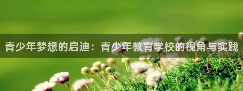 新宝5下载 迅雷下载