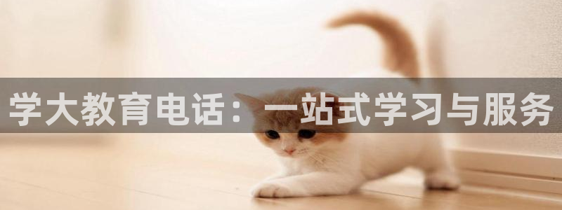 新宝5招商部