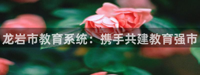 新宝5月