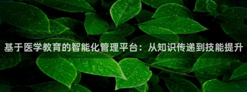 新宝5的网址